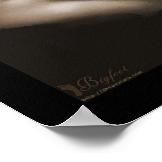 Sereniteit v1 poster (Hoek)