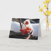 "Sereniteit van de Winterse Slap" kerstkaart Kaart (Gele Bloem)