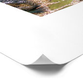 Sereniteit van TDGallery Poster (Hoek)