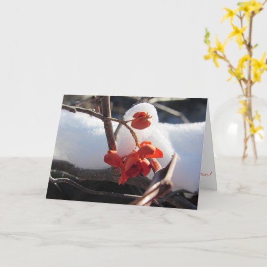 "Sereniteit van Winterschlaf" kerstkaart Kaart (Gele Bloem)