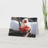 "Sereniteit van Winterschlaf" kerstkaart Kaart (Voorkant)