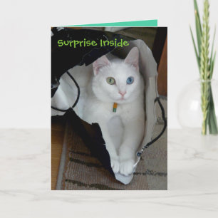 Serenity bagged foliday card feestdagen kaart