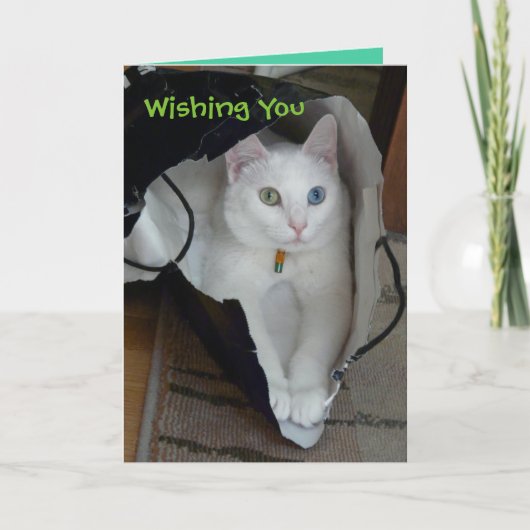 Serenity bagged foliday card feestdagen kaart (Voorkant)