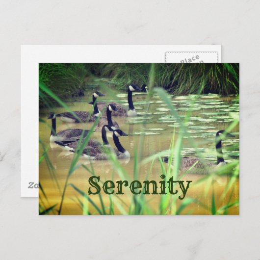 Serenity Canada Geese Inspirerend Briefkaart (Voorkant / Achterkant)