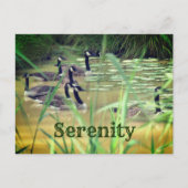 Serenity Canada Geese Inspirerend Briefkaart (Voorkant)