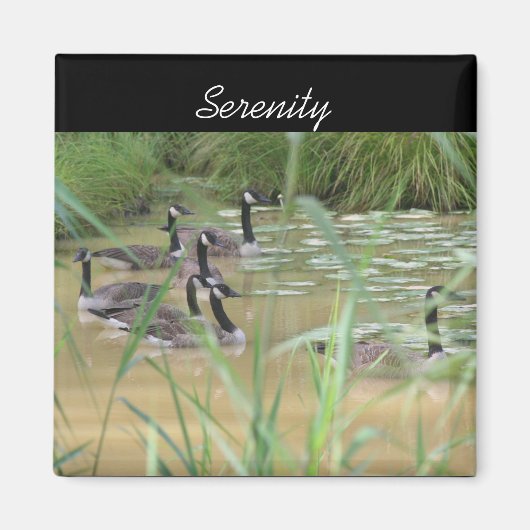 Serenity Canada Gese Inspirerend Natuur Magnet (Voorkant)