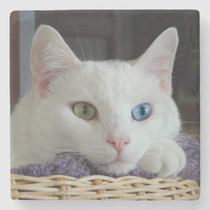 Serenity close-up marble onderzetter #2