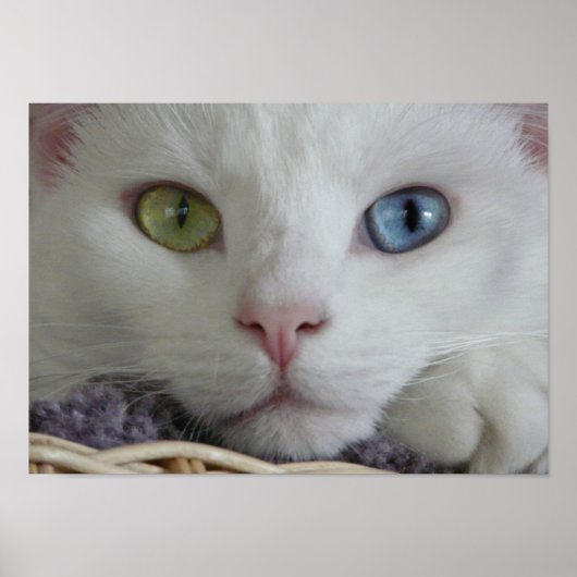 Serenity Close-up poster (Voorkant)