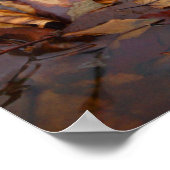 Serenity Creek laat Poster over (Hoek)