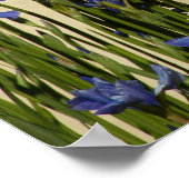 Serenity Gebed Blauwe Irissen Bloemstuk Poster (Hoek)