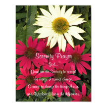 Serenity Gebed Echinacea Bloemen Fotografisch