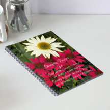 Serenity Gebed Echinacea Bloemen
