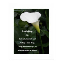 Serenity Gebed Witte Calla Lily Bloemstuk