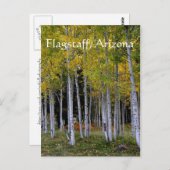 Serenity in Gold and Green Aspen's Flagstaff Briefkaart (Voorkant / Achterkant)