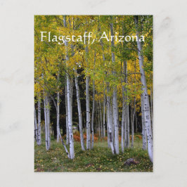 Serenity in Gold and Green Aspen's Flagstaff Briefkaart