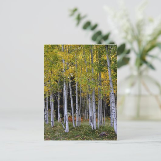 Serenity in Gold en Green Aspen Briefkaart (Staand voorkant)