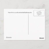 Serenity in Gold en Green Aspen Briefkaart (Achterkant)