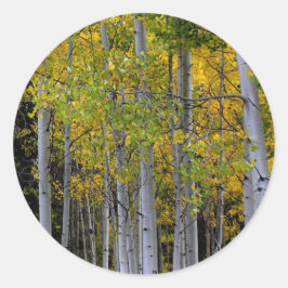 Serenity in Gold en Green Aspen Ronde Sticker