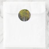 Serenity in Gold en Green Aspen Ronde Sticker (Tas)