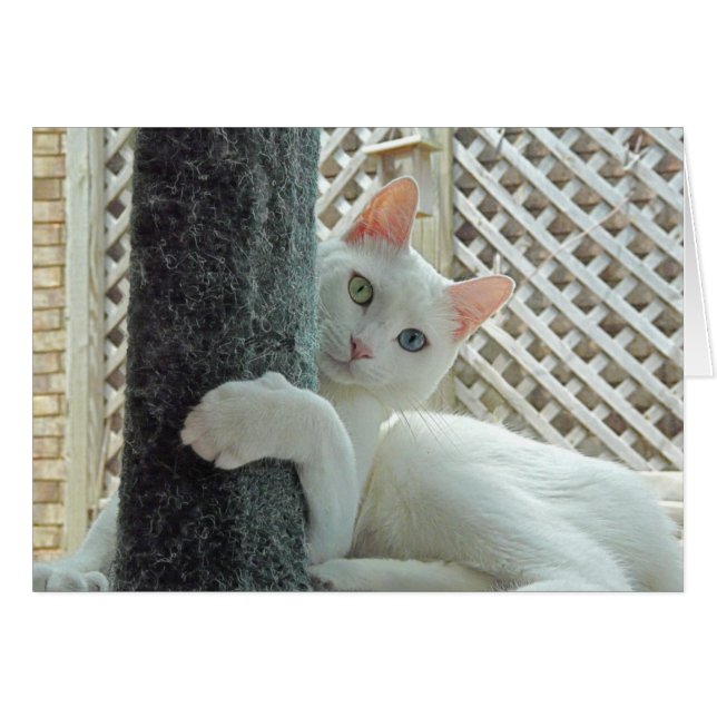 Serenity knuffelkaart (Voorkant Horizontaal)