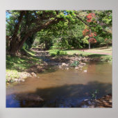 Serenity Poster (Voorkant)