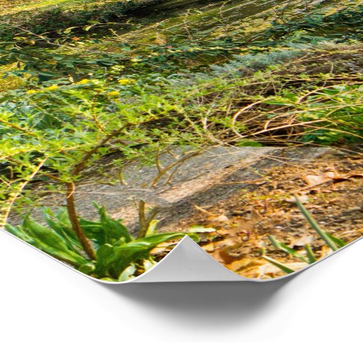 Serenity Poster Paper (Matte) (Hoek)