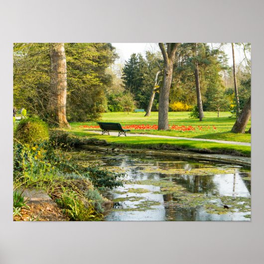 Serenity Poster Paper (Matte) (Voorkant)