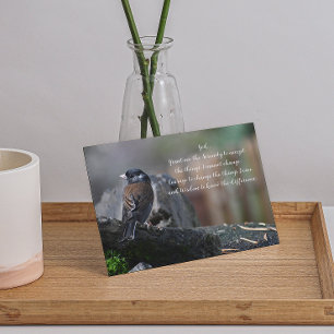 Serenity Prayer Bird op Branch Foto Blank Kaart