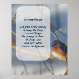 Serenity Prayer Bluebird Inspirerend Poster