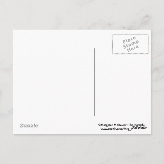 Serenity Prayer Briefkaart (Achterkant)