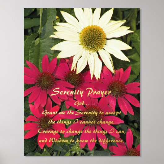 Serenity Prayer Coneflowers Floral Folie Afdrukken (Voorkant)
