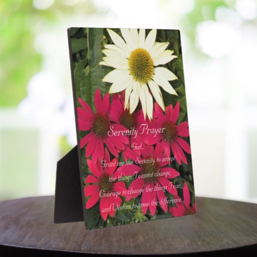 Serenity Prayer Coneflowers Floral Fotoplaat