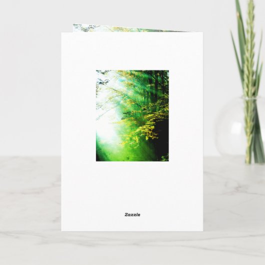 Serenity Prayer, Forest Kaart (Achterkant)