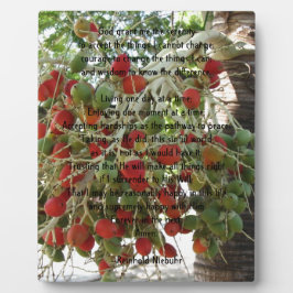 Serenity Prayer Fotoplaat