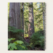 Serenity Prayer Groene bos Planner (Achterkant)