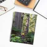 Serenity Prayer Groene bos Planner<br><div class="desc">Deze maandelijkse/wekelijkse kalender planner houdt al uw opkomende activiteiten en schema's op één handige plek georganiseerd en beschikt over het foto-afbeelding van een groen boslandschap met groenblijvende coniferen samen met de inspirerend woorden van het Serenity Prayer gedrukt in wit,  stijlvol script. Selecteer uw plannerstijl,  grootte en draadkleur.</div>