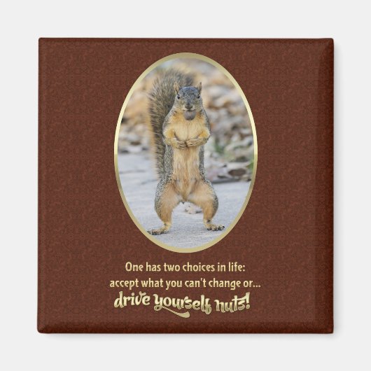 Serenity Prayer in a Nutshell Magneet (Voorkant)