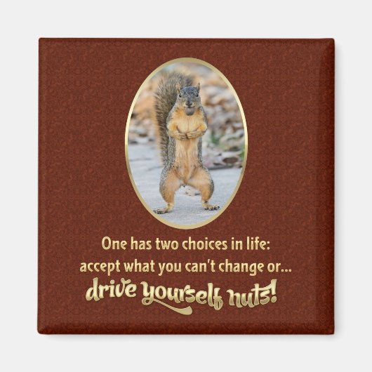 Serenity Prayer in a Nutshell Magneet (Voorkant)