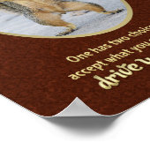 Serenity Prayer in a Nutshell Poster (Hoek)