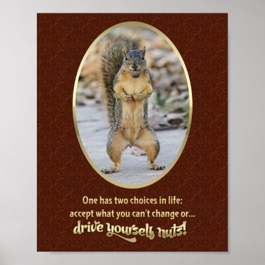 Serenity Prayer in a Nutshell Poster (Voorkant)