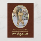 Serenity Prayer in een Nutshell Briefkaart (Voorkant)