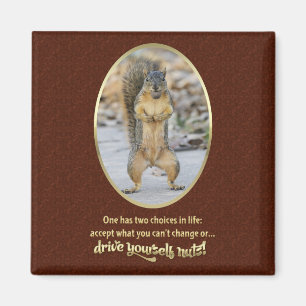 Serenity Prayer in een Nutshell Magneet