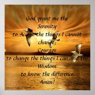 Serenity Prayer met Doves Poster