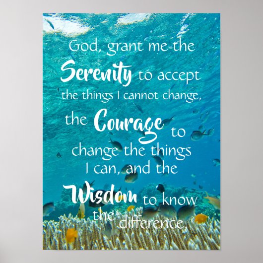 Serenity Prayer Ocean Fish Meditatie Poster (Voorkant)