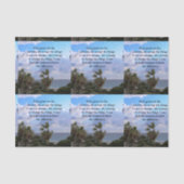  SERENITY PRAYER PALM TREE FOTOONTWERP TISSUEPAPIER (Voorkant)