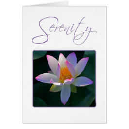 Serenity Prayer Pink Lotus Flower