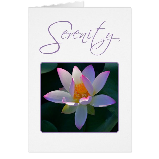 Serenity Prayer Pink Lotus Flower (Voorkant)