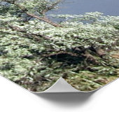 Serenity Prayer Poster (Hoek)