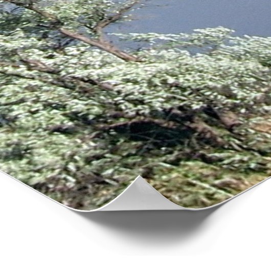 Serenity Prayer Poster (Hoek)