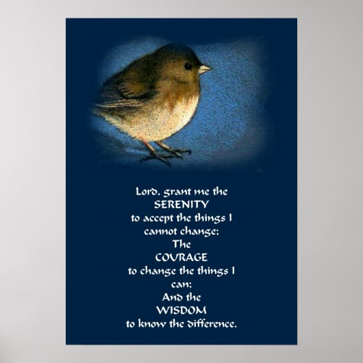 SERENITY PRAYER-POSTER MET VOGELS POSTER (Voorkant)